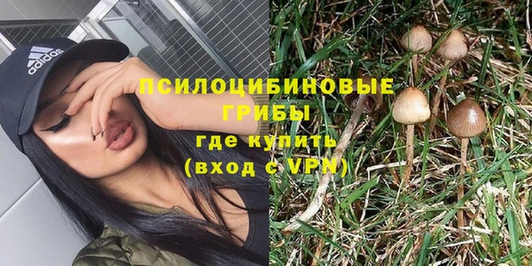 кокс Арсеньев
