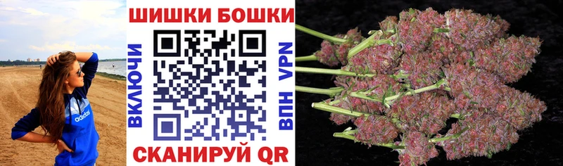 наркота  Новозыбков  Марихуана планчик 